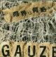 GAUZE/ガーゼ/限界は何処だ