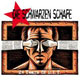 DIE SCHWARZEN SCHAFE/24 YEARS OF D.I.Y.