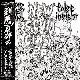 FALSE INSIGHT & STUPID BABIES GO MAD/SPLIT-NEW SCUM CITY(新底辺屑都市)