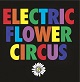 GIVE/ELECTRIC FLOWER CIRCUS