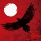 REDSHEER/ETERNITY