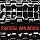 RUIDOSA INMUNDICIA/DISCOGRAFIA 2004-2010 (LTD.300 Ĕ)