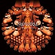 SWARRRM/20YEAR CHAOS