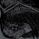 BROILER // TRIKORONA/SPLIT "SPLIT BIRD"