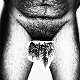 CUNTS // ANAL BUTT/SPLIT (LTD.300)