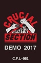 CRUCIAL SECTION/DEMO 2017 (LTD.300)