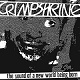 CRIMPSHRINE/THE SOUND OF A NEW WORLD BEING BORN