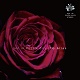 TG.Atlas/LOST IN PUZZLE CITY