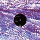 YOUR SONG IS GOOD/On