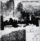CONTRA//HISTORIA/CAMINANDO SOBRE LAS RUINAS DE LA NATURALEZA