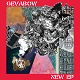 ゲバ棒 (GEVABOW)/NEW EP