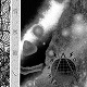 RASHOMON ()/a - PATHOGEN X