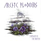 ARCTIC FLOWERS/STRAIGHT TO THE HUNTER