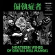 PARANOID(偏執症者)/NORTHERN WINDS OF BRUTAL HELL MANGEL VOLUME 2