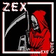 ZEX/EXECUTE