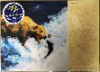 DEAD FISH BOYS/MY DEAR FELLOW (LTD.250)