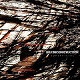 SELF DECONSTRUCTION/SUPERFICIAL(2020再発盤)