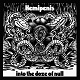 Hemipenis/into the doze of null