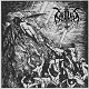 CATAPLEXY/ARCHIVES (通常盤)