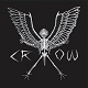 CROW/LAST CHAOS (アナログ盤)