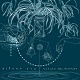 SILENT ERA/ROTATE THE MIRROR (LTD.300)