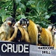 CRUDE/HARDCORE DRILL