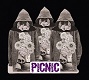 PiCNiC/S-T