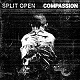 SPLIT OPEN // COMPASSION/DEMO SPLIT (LTD.300 BLACK VINYL)