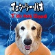 イェン・ツー・パオ/I'M NOT DEAD『地獄からの生還』