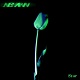 NEHANN/Star