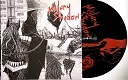 MILITARY SHADOW/VIOLENT REIGN (LTD.200 BLACK)