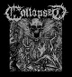 COLLAPSED/S-T (LTD.400 BLACK)