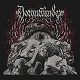 DOWNWINDER/S-T (LTD.500)