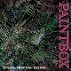 PAINTBOX/SINGING SHOUTING CRYING (再発盤)