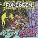 FORESEEN/UNTAMED FORCE (LTD.300 YELLOW)