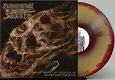 PUTREFACTION SETS IN/REPUGNANT INCEPTION OF DECOMPOSING PAROXYSM (LTD.100 DIE-HARD)