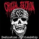 CRUCIAL SECTION/DEDICATION AND FRIENDSHIP
