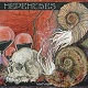 NEPENTHES/Grand Guignol