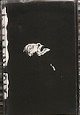 VARIATION/SIX (LTD.50)