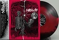 WARHEAD/この想いを何処へ... (LTD.150 DIE-HARD)