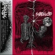 WARHEAD/この想いを何処へ... (LTD.350 BLACK)