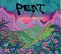PEST/EARLY YEARS 1997-2010