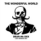 WONDERFUL WORLD/DEAR.Mr.XXX -LAST SESSION 2021-