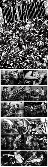 PUBLIC DISTURBANCE/TEPPEI MIKI Photobook ʏ(\tgJo[) 