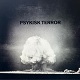 PSYKISK TERROR/DET FANTES ET HAP 1984-1986 (LTD.360 BLACK)