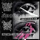 FADING TRAIL // JARNBORD // HORORNISDIPHONEVALLEY // ABANGLUPA/NO BLESSING 4 WAY SPLITwj͂܂x