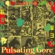 KNOWSO/PULSATING GORE