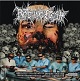 ROTTING FLESH/MESOLOGIC COLLIQUATIVE EFFECTS... (LTD.200 BLACK)