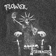 FLOWER/HARDLY A DREAM LP+HEEL OF THE NEXT EP