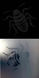 ROACH SQUAD/S-T (LTD.100 ORANGE VNYL/̎Ζt)